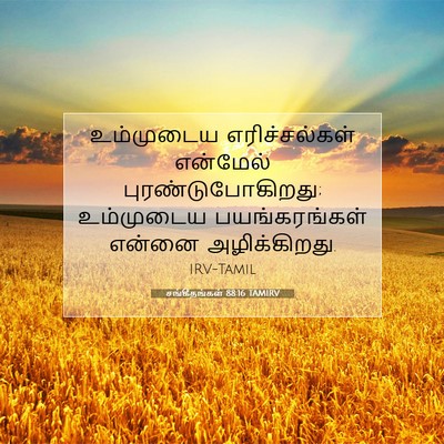 Picture 07 - சங்கீதங்கள் 88:16 TAMIRV - உம்முடைய - Bible Verse Picture