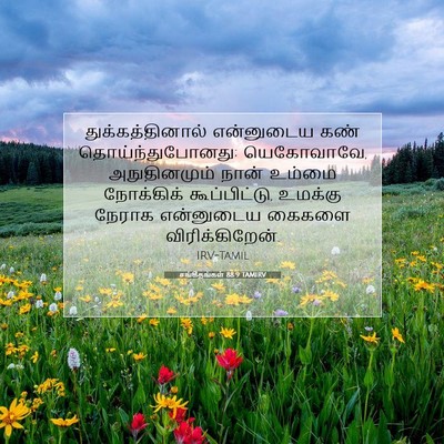 Picture 07 - சங்கீதங்கள் 88:9 TAMIRV - துக்கத்தினால் - Bible Verse Picture