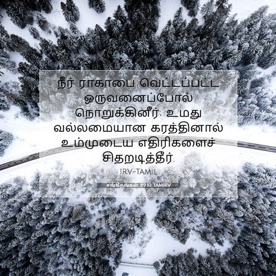 Picture 07 - சங்கீதங்கள் 89:10 TAMIRV - நீர் ராகாபை - Bible Verse Picture