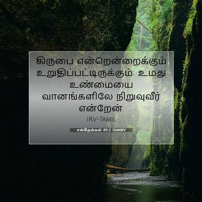 Picture 07 - சங்கீதங்கள் 89:2 TAMIRV - கிருபை - Bible Verse Picture