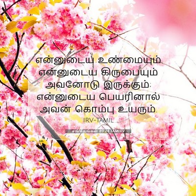 Picture 07 - சங்கீதங்கள் 89:24 TAMIRV - என்னுடைய - Bible Verse Picture
