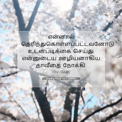 Picture 07 - சங்கீதங்கள் 89:3 TAMIRV - என்னால் - Bible Verse Picture