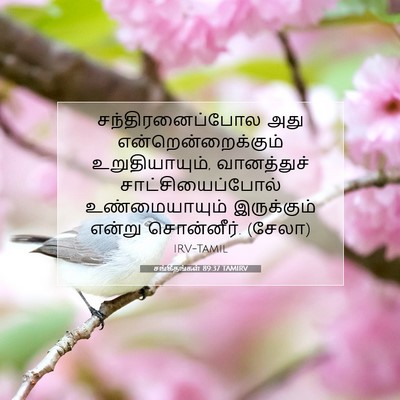Picture 07 - சங்கீதங்கள் 89:37 TAMIRV - சந்திரனைப்போல அது - Bible Verse Picture