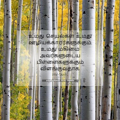 Picture 07 - சங்கீதங்கள் 90:16 TAMIRV - உமது செயல்கள் - Bible Verse Picture