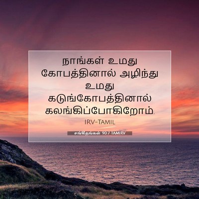 Picture 07 - சங்கீதங்கள் 90:7 TAMIRV - நாங்கள் உமது - Bible Verse Picture