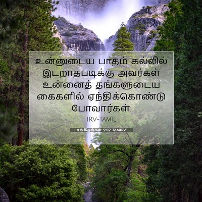 Picture 07 - சங்கீதங்கள் 91:12 TAMIRV - உன்னுடைய பாதம் - Bible Verse Picture