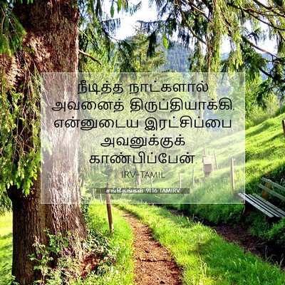 Picture 07 - சங்கீதங்கள் 91:16 TAMIRV - நீடித்த நாட்களால் - Bible Verse Picture