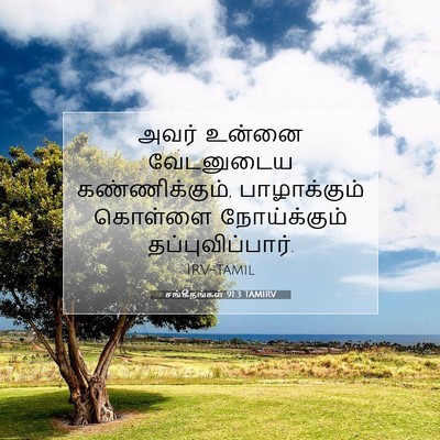 Picture 07 - சங்கீதங்கள் 91:3 TAMIRV - அவர் உன்னை - Bible Verse Picture