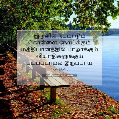 Picture 07 - சங்கீதங்கள் 91:6 TAMIRV - இருளில் நடமாடும் - Bible Verse Picture