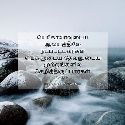 Picture 07 - சங்கீதங்கள் 92:13 TAMIRV - யெகோவாவுடைய - Bible Verse Picture