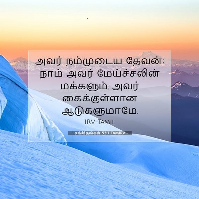 Picture 07 - சங்கீதங்கள் 95:7 TAMIRV - அவர் நம்முடைய - Bible Verse Picture