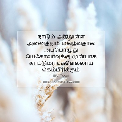 Picture 07 - சங்கீதங்கள் 96:12 TAMIRV - நாடும் அதிலுள்ள - Bible Verse Picture