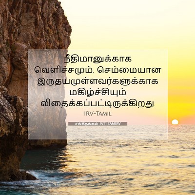 Picture 07 - சங்கீதங்கள் 97:11 TAMIRV - நீதிமானுக்காக - Bible Verse Picture