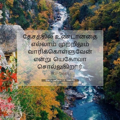Picture 07 - செப்பனியா 1:2 TAMIRV - தேசத்தில் - Bible Verse Picture