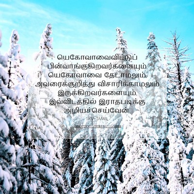Picture 07 - செப்பனியா 1:6 TAMIRV - யெகோவாவைவிட்டுப் - Bible Verse Picture