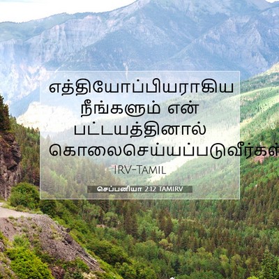 Picture 07 - செப்பனியா 2:12 TAMIRV -  - Bible Verse Picture