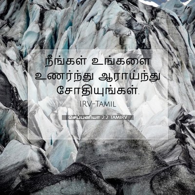 Picture 07 - செப்பனியா 2:2 TAMIRV - நீங்கள் உங்களை - Bible Verse Picture