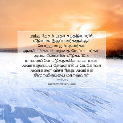 Picture 07 - செப்பனியா 2:7 TAMIRV - அந்த தேசம் யூதா - Bible Verse Picture