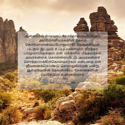 Picture 07 - செப்பனியா 2:9 TAMIRV - ஆகையால் மோவாப் - Bible Verse Picture