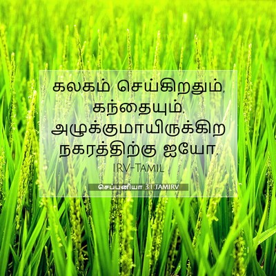 Picture 07 - செப்பனியா 3:1 TAMIRV - கலகம் - Bible Verse Picture