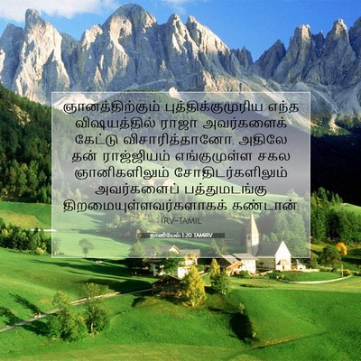 Picture 07 - தானியேல் 1:20 TAMIRV - ஞானத்திற்கும் - Bible Verse Picture