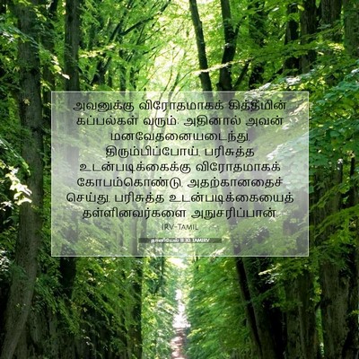 Picture 07 - தானியேல் 11:30 TAMIRV - அவனுக்கு - Bible Verse Picture