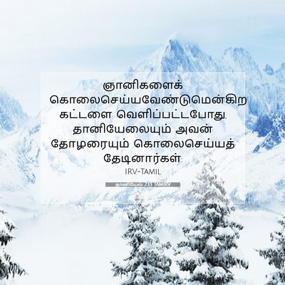 Picture 07 - தானியேல் 2:13 TAMIRV - ஞானிகளைக் - Bible Verse Picture