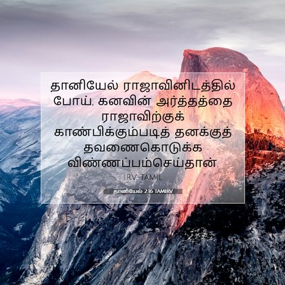 Picture 07 - தானியேல் 2:16 TAMIRV - தானியேல் - Bible Verse Picture