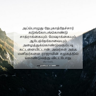 Picture 07 - தானியேல் 3:13 TAMIRV - அப்பொழுது - Bible Verse Picture