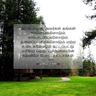 Picture 07 - தானியேல் 3:21 TAMIRV - அப்பொழுது அவர்கள் - Bible Verse Picture