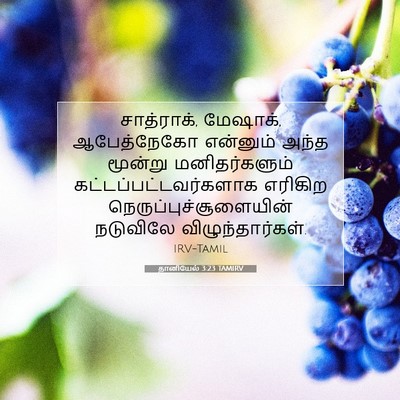 Picture 07 - தானியேல் 3:23 TAMIRV - சாத்ராக், மேஷாக், - Bible Verse Picture