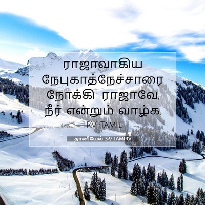Picture 07 - தானியேல் 3:9 TAMIRV - ராஜாவாகிய - Bible Verse Picture