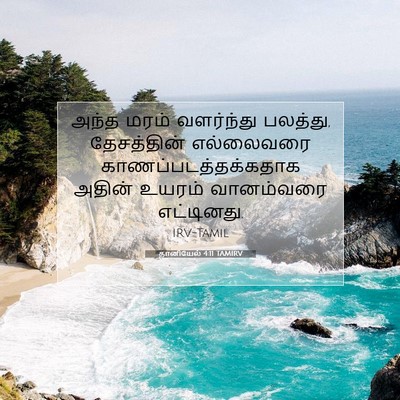 Picture 07 - தானியேல் 4:11 TAMIRV - அந்த மரம் - Bible Verse Picture