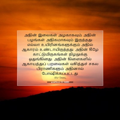 Picture 07 - தானியேல் 4:12 TAMIRV - அதின் இலைகள் - Bible Verse Picture