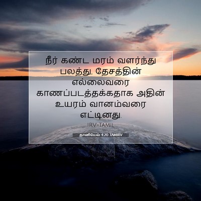 Picture 07 - தானியேல் 4:20 TAMIRV - நீர் கண்ட மரம் - Bible Verse Picture