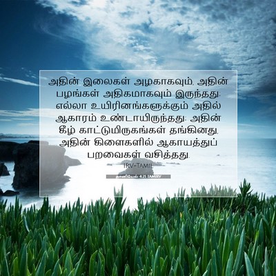Picture 07 - தானியேல் 4:21 TAMIRV - அதின் இலைகள் - Bible Verse Picture