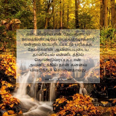 Picture 07 - தானியேல் 4:8 TAMIRV - கடைசியிலே என் - Bible Verse Picture