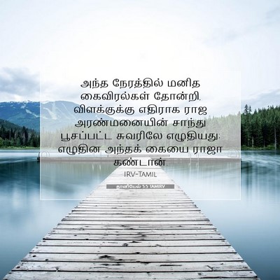 Picture 07 - தானியேல் 5:5 TAMIRV - அந்த நேரத்தில் - Bible Verse Picture