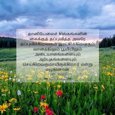 Picture 07 - தானியேல் 6:27 TAMIRV - தானியேலைச் - Bible Verse Picture