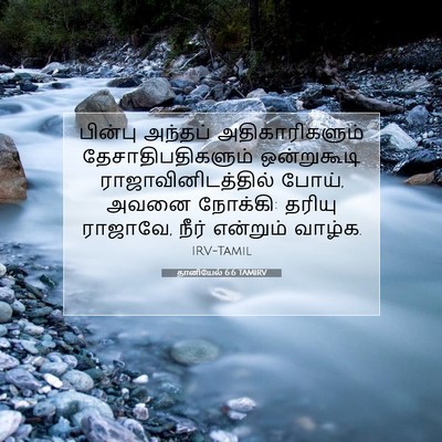 Picture 07 - தானியேல் 6:6 TAMIRV - பின்பு அந்தப் - Bible Verse Picture