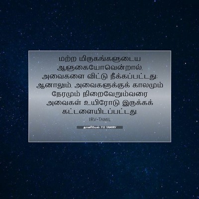 Picture 07 - தானியேல் 7:12 TAMIRV - மற்ற - Bible Verse Picture