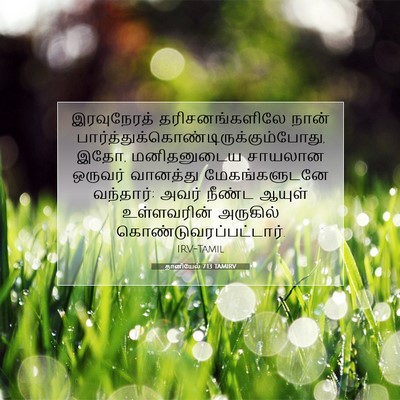 Picture 07 - தானியேல் 7:13 TAMIRV - இரவுநேரத் - Bible Verse Picture