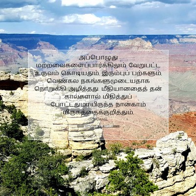 Picture 07 - தானியேல் 7:19 TAMIRV - அப்பொழுது - Bible Verse Picture