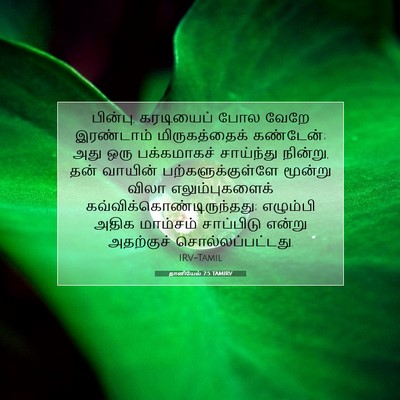 Picture 07 - தானியேல் 7:5 TAMIRV - பின்பு, கரடியைப் - Bible Verse Picture
