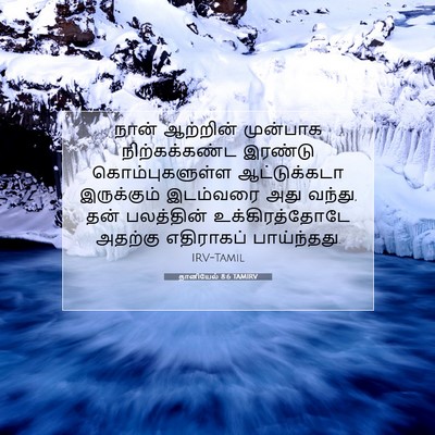 Picture 07 - தானியேல் 8:6 TAMIRV - நான் ஆற்றின் - Bible Verse Picture