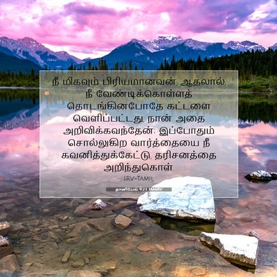Picture 07 - தானியேல் 9:23 TAMIRV - நீ மிகவும் - Bible Verse Picture