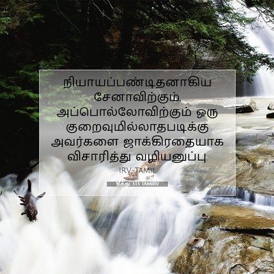 Picture 07 - தீத்து 3:13 TAMIRV -  - Bible Verse Picture