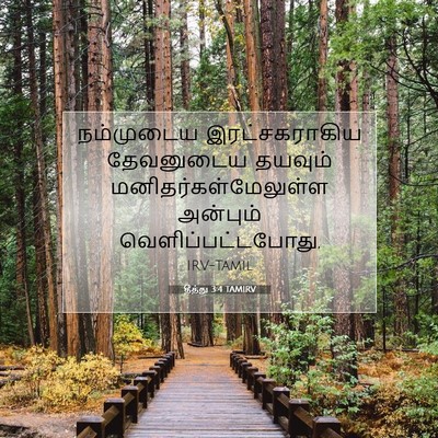 Picture 07 - தீத்து 3:4 TAMIRV - நம்முடைய - Bible Verse Picture