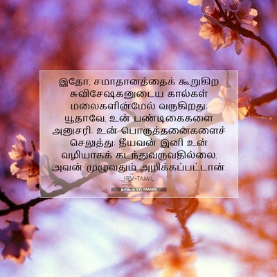 Picture 07 - நாகூம் 1:15 TAMIRV - இதோ, சமாதானத்தைக் - Bible Verse Picture