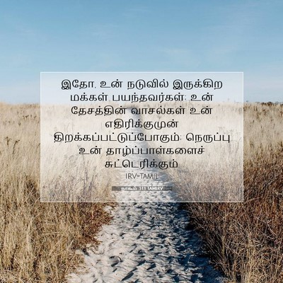 Picture 07 - நாகூம் 3:13 TAMIRV - இதோ, உன் நடுவில் - Bible Verse Picture